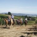 Hattiesburg, MS Vineyard Tours On Your Terms: How A Trailer Can Elevate Your Wine Country Experience