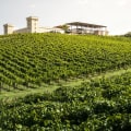 Indulge In Luxury: Experiencing The Finest Vineyards In Chicago, IL With A Travel Agency
