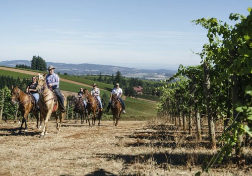 Hattiesburg, MS Vineyard Tours On Your Terms: How A Trailer Can Elevate Your Wine Country Experience