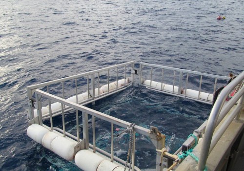 Thrill First, Relax Later: Shark Diving On Oahu Before A Vineyard Tour