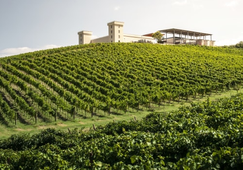 Indulge In Luxury: Experiencing The Finest Vineyards In Chicago, IL With A Travel Agency